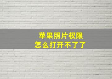 苹果照片权限怎么打开不了了