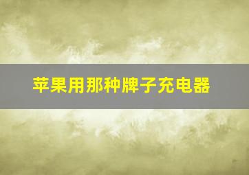 苹果用那种牌子充电器