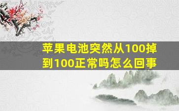 苹果电池突然从100掉到100正常吗怎么回事