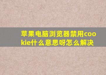 苹果电脑浏览器禁用cookie什么意思呀怎么解决