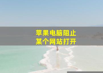 苹果电脑阻止某个网站打开