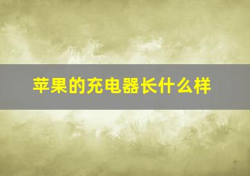 苹果的充电器长什么样