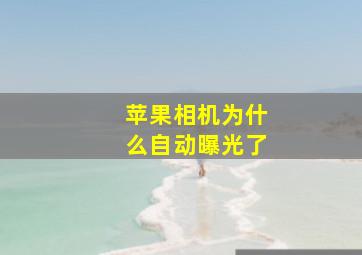 苹果相机为什么自动曝光了