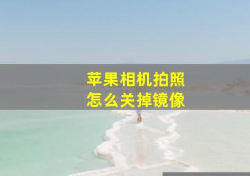 苹果相机拍照怎么关掉镜像