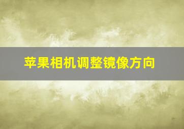 苹果相机调整镜像方向