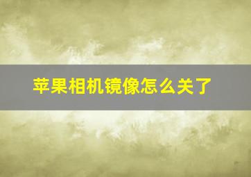 苹果相机镜像怎么关了