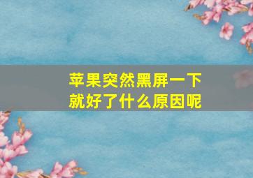 苹果突然黑屏一下就好了什么原因呢