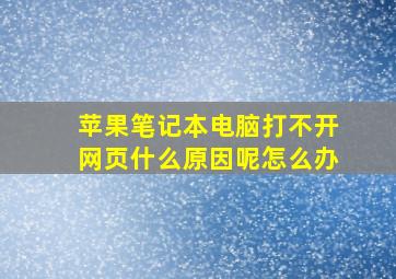 苹果笔记本电脑打不开网页什么原因呢怎么办