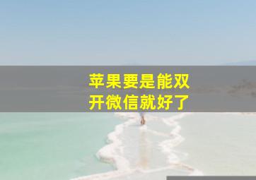 苹果要是能双开微信就好了