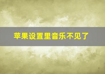 苹果设置里音乐不见了