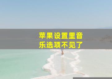 苹果设置里音乐选项不见了