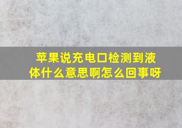 苹果说充电口检测到液体什么意思啊怎么回事呀