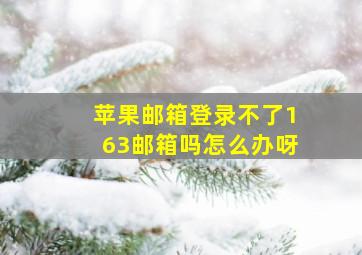 苹果邮箱登录不了163邮箱吗怎么办呀