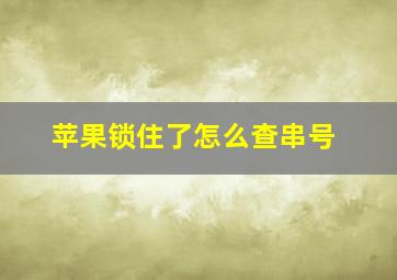 苹果锁住了怎么查串号