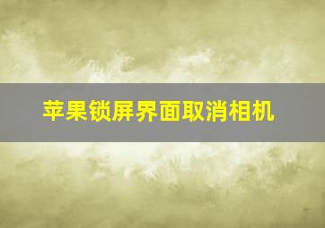 苹果锁屏界面取消相机