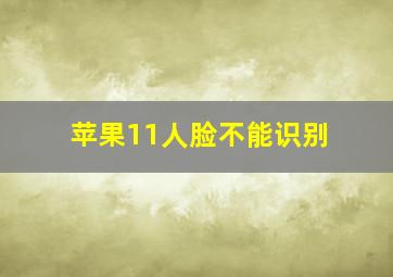 苹果11人脸不能识别