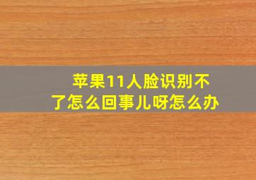 苹果11人脸识别不了怎么回事儿呀怎么办