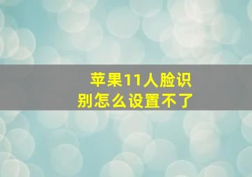 苹果11人脸识别怎么设置不了