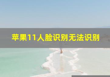 苹果11人脸识别无法识别