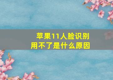 苹果11人脸识别用不了是什么原因