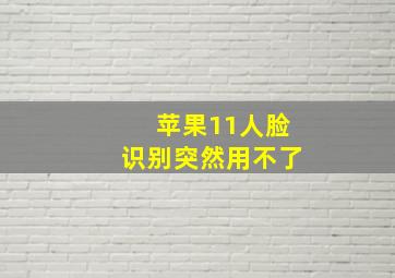 苹果11人脸识别突然用不了