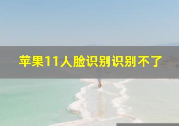 苹果11人脸识别识别不了