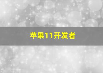 苹果11开发者