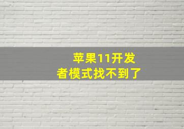 苹果11开发者模式找不到了