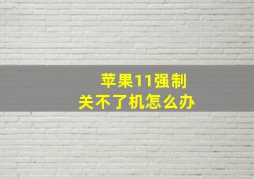 苹果11强制关不了机怎么办