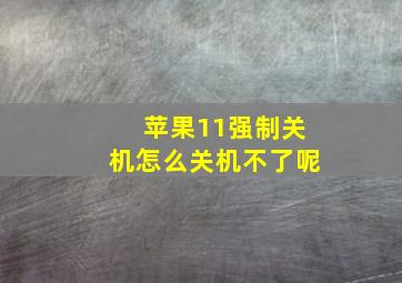 苹果11强制关机怎么关机不了呢