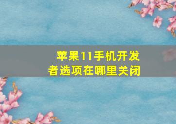 苹果11手机开发者选项在哪里关闭