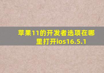 苹果11的开发者选项在哪里打开ios16.5.1