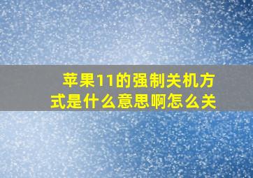 苹果11的强制关机方式是什么意思啊怎么关