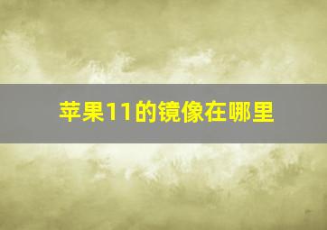 苹果11的镜像在哪里