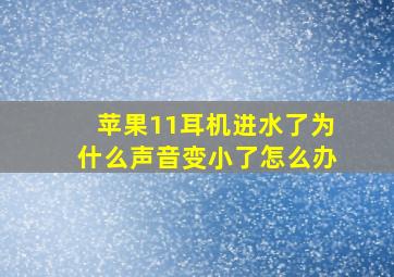 苹果11耳机进水了为什么声音变小了怎么办