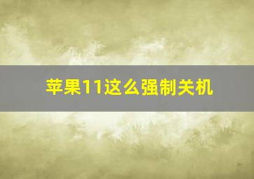 苹果11这么强制关机