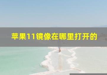 苹果11镜像在哪里打开的