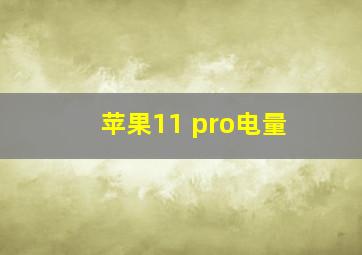 苹果11 pro电量