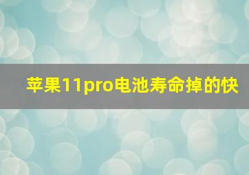 苹果11pro电池寿命掉的快