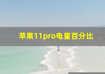 苹果11pro电量百分比