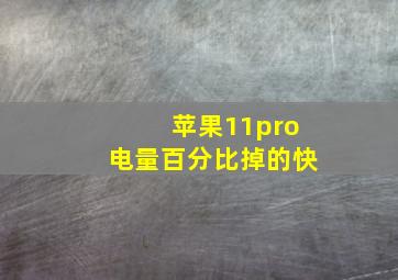 苹果11pro电量百分比掉的快