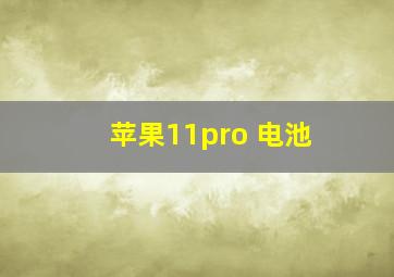 苹果11pro 电池