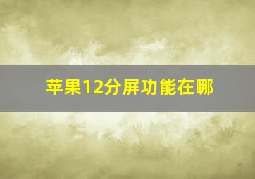 苹果12分屏功能在哪