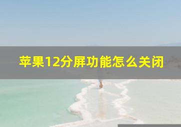 苹果12分屏功能怎么关闭