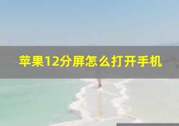 苹果12分屏怎么打开手机