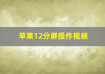 苹果12分屏操作视频