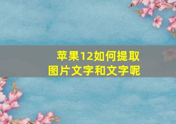 苹果12如何提取图片文字和文字呢