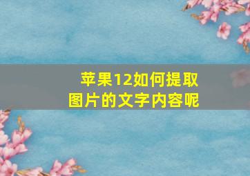 苹果12如何提取图片的文字内容呢