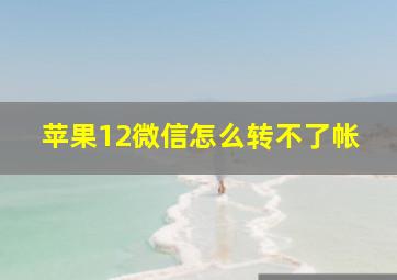 苹果12微信怎么转不了帐