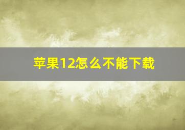 苹果12怎么不能下载